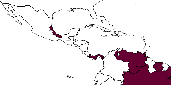 map of Anisepyris wilsoni     Evans, 1966